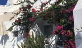 Tocht Stappen Δημοτική Ενότητα Θήρας - Santorin le 26-09-19 - Photo 13