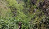 Excursión Senderismo São Vicente - Levada da Faja do Rodrigues (Rother n°32) - Photo 13