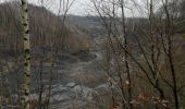 Trail Walking Saint-Ghislain - La mer de sable  - Photo 1