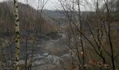 Tour Wandern Saint-Ghislain - La mer de sable  - Photo 1