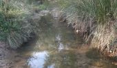 Tour Wandern Biure - bourse.  castel de mont roigt  /  retour par ma vallée  - Photo 2