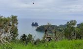 Tour Wandern Hienghène - la poule - Photo 4