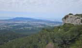 Tour Wandern Ollioules - Châteauvallon - Ollioules - Photo 12
