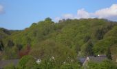 Tocht Te voet Windeck - Naturparkweg 9 - Photo 2