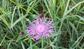 Trail Walking Spa - berinzenne fleurie - Photo 14