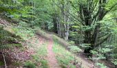 Percorso Marcia Bonac-Irazein - Sentier du port d’Orle - col du Tuc - Photo 2