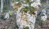 Tour Wandern Vérignon - ND de la Liesse depuis Verignon  - Photo 5