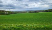 Randonnée Marche Andenne - Maizeret 120424  - Photo 7