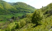 Randonnée Marche Courgoul - Les gorges de Courgouls et le Pic de Cluzel - Photo 5