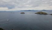 Tour Wandern Hyères - Presqu'ile de Giens - Photo 1