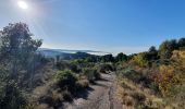 Tocht Stappen Crillon-le-Brave - Crillon - Photo 4