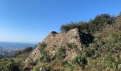 Trail Walking Falicon - Pyramide de Nice Falicon - Photo 1
