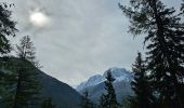 Randonnée Marche Chamonix-Mont-Blanc - J11 - R9 - Montroc - Le Tour - Petit Balcon Nord  - Photo 6