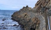 Tour Wandern Santa Cruz de Tenerife - 20230128 boucle Tâcheron - Amalciga  - Photo 4