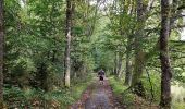 Trail Walking Bastogne - La promenade des bisons  - Photo 6