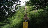 Trail Walking Laveissière - Burons  - Photo 3