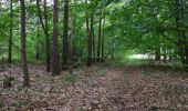 Tour Zu Fuß Neustadt am Rübenberge - Schneeren Rundwanderweg S2 - Photo 1