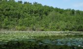 Trail On foot Mittenwalde - Wanderweg Sutschketal - Ostseite Krummer See - Photo 1