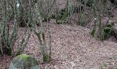 Trail Walking Baerenthal - schmalenthal, bannstein, hammerschless - Photo 8