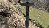 Trail Walking Laveissière - Trek GR400 Cantal  - Photo 14