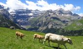 Percorso Marcia Gavarnie-Gèdre - Refuge des Espugnettes, Plateau d'Alans - Photo 2