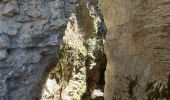 Excursión Senderismo Plan-de-Baix - Canyon des Gueulards - Plateau du Vellan  - Photo 17