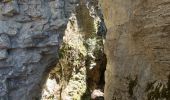 Randonnée Marche Plan-de-Baix - Canyon des Gueulards - Plateau du Vellan  - Photo 17