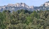 Randonnée Marche Les Baux-de-Provence - PF-Les Baux de Provence - Le Vallon des Amants par la piste des Lombards - DD - Photo 2