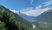 Tocht Stappen Chamonix-Mont-Blanc - Buvette du Chapeau et Tête des Prapators 1844m - Photo 11