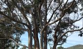 Trail Walking Roquebrune-sur-Argens - La Gaillarde - 28/03/25 - Photo 1