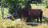 Randonnée Marche Chastreix - Le cirque des fontaines salees_T - Photo 7