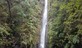 Tocht Stappen Calheta - Madère : de Rabaçal vers les 25 sources - Photo 11