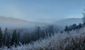 Tour Wandern Bouillon - Rochehaut 211221 - Photo 6