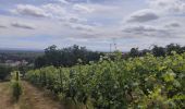 Tour Wandern Leigneux - Randonnée au dessus de Leigneux  - Photo 2