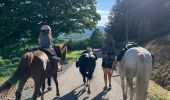 Trail Horseback riding Ban-de-Laveline - Ban de Laveline- Fraize - Photo 2