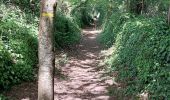 Trail Walking Calan - PR_56_Calan_AA_01_Circuit1b_Du-Lech_20240508 - Photo 8