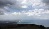 Tocht Stappen Collioure - Tour de Madaloc - Photo 3