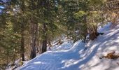 Tocht Ski randonnée Bellevaux - Col des follys - Photo 1