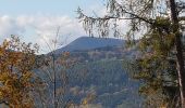 Trail Walking Schirmeck - Schirmeck - sentier du Colbéry - Photo 9