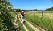 Trail Walking Rochefort - Wavrielle  12-06-20 - Photo 17