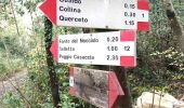 Tour Zu Fuß Vaglia - Sentiero CAI 12 - Sez. Sesto Fiorentino - Photo 10