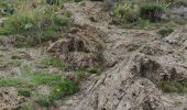 Tocht Stappen Banyuls-sur-Mer - banyuls cap rederis - Photo 6