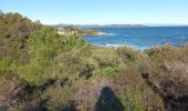 Randonnée Marche Ramatuelle - cap Camarat-golfe St Tropez-03-12-21 - Photo 6