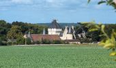 Randonnée Marche Lémeré - Lémeré - le Coudray Château du Rivau - 15.6km 140m 3h20 (1h) - 2024 08 25 - Photo 7