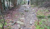 Tocht Stappen Eupen - balade entre fagnes et forêt  - Photo 3