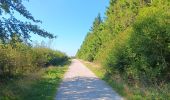 Tour Wandern Weismes - autour de botrange et du bois de sourbrodt - Photo 1