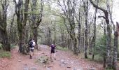 Trail Walking Le Valtin - Les Rochers des Hirschsteine - Lac Vert - Photo 1