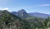 Trail Walking Sisteron - Sisteron - Molard - Photo 6