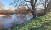 Trail Walking Candé-sur-Beuvron - cande sur beuvron - Photo 8