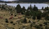 Tocht Stappen Les Angles - Lacs de Bouillouse Pyrénnées - Photo 3